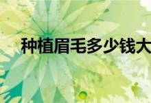 种植眉毛多少钱大概（种植眉毛多少钱）