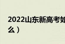 2022山东新高考如何填报志愿（需要注意什么）