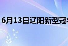 6月13日辽阳新型冠状病毒肺炎疫情最新消息