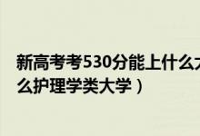 新高考考530分能上什么大学（2022高考530分左右能上什么护理学类大学）