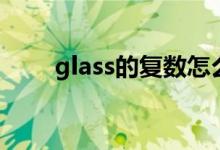 glass的复数怎么写（glass的复数）