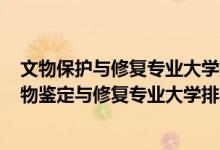 文物保护与修复专业大学排名2020全国排行榜（2022年文物鉴定与修复专业大学排名）