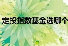 定投指数基金选哪个好（债券型的是怎么样）