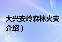 大兴安岭森林火灾（关于大兴安岭森林火灾的介绍）