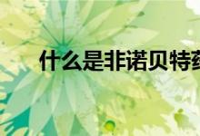 什么是非诺贝特药（什么是非诺贝特）