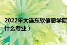 2022年大连东软信息学院在云南招生计划及招生人数（都招什么专业）