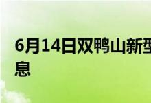 6月14日双鸭山新型冠状病毒肺炎疫情最新消息