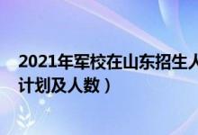 2021年军校在山东招生人数估计（2022各军校在山东招生计划及人数）