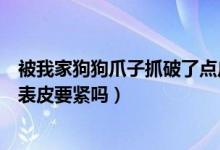 被我家狗狗爪子抓破了点皮有没有事（被狗狗爪子抓破了点表皮要紧吗）