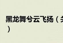 黑龙舞兮云飞扬（关于黑龙舞兮云飞扬的介绍）