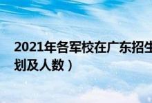 2021年各军校在广东招生计划（2022各军校在广东招生计划及人数）