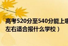 高考520分至540分能上哪个学校（2022高考500分-520分左右适合报什么学校）