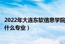 2022年大连东软信息学院在山东招生计划及招生人数（都招什么专业）