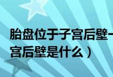 胎盘位于子宫后壁一级什么意思（胎盘位于子宫后壁是什么）