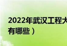 2022年武汉工程大学评价怎么样（王牌专业有哪些）