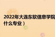 2022年大连东软信息学院在河南招生计划及招生人数（都招什么专业）