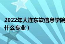 2022年大连东软信息学院在江西招生计划及招生人数（都招什么专业）