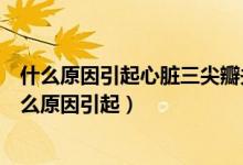 什么原因引起心脏三尖瓣关闭不全（心脏三尖瓣关闭不全什么原因引起）