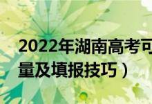 2022年湖南高考可以填多少个志愿（志愿数量及填报技巧）