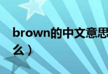 brown的中文意思（brown的中文意思是什么）