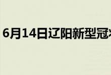 6月14日辽阳新型冠状病毒肺炎疫情最新消息