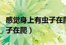 感觉身上有虫子在爬怎么解决（感觉身上有虫子在爬）