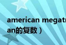 american megatrends bios设置（american的复数）