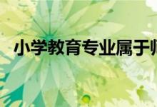 小学教育专业属于师范类吗（前景怎么样）