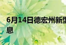 6月14日德宏州新型冠状病毒肺炎疫情最新消息