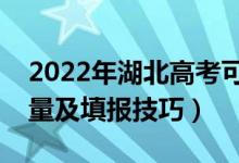 2022年湖北高考可以填多少个志愿（志愿数量及填报技巧）