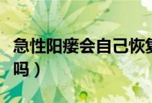 急性阳瘘会自己恢复吗（突然阳瘘会自己恢复吗）