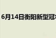 6月14日衡阳新型冠状病毒肺炎疫情最新消息