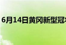 6月14日黄冈新型冠状病毒肺炎疫情最新消息