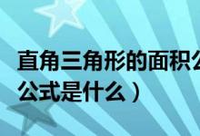 直角三角形的面积公式是什么（三角形的面积公式是什么）