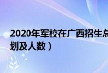 2020年军校在广西招生总人数（2022各军校在广西招生计划及人数）