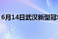 6月14日武汉新型冠状病毒肺炎疫情最新消息