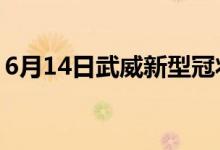 6月14日武威新型冠状病毒肺炎疫情最新消息