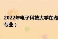 2022年电子科技大学在湖南招生计划及招生人数（都招什么专业）