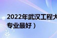 2022年武汉工程大学专业排名及介绍（哪些专业最好）