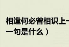 相逢何必曾相识上一句话（相逢何必曾相识上一句是什么）