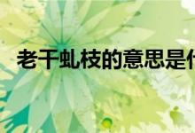 老干虬枝的意思是什么（老干虬枝的意思）