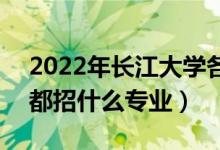 2022年长江大学各省招生计划及招生人数（都招什么专业）