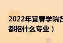 2022年宜春学院各省招生计划及招生人数（都招什么专业）