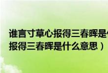 谁言寸草心报得三春晖是什么意思酷知经验网（谁言寸草心报得三春晖是什么意思）