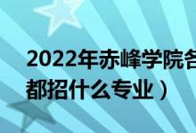 2022年赤峰学院各省招生计划及招生人数（都招什么专业）