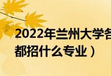 2022年兰州大学各省招生计划及招生人数（都招什么专业）