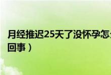 月经推迟25天了没怀孕怎么办（月经推迟25天了没怀孕怎么回事）