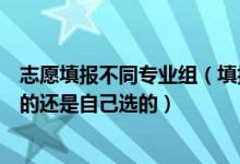 志愿填报不同专业组（填报志愿时专业组里的专业是学校定的还是自己选的）