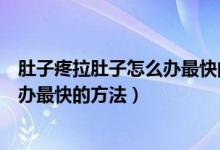 肚子疼拉肚子怎么办最快的方法小妙招（肚子疼拉肚子怎么办最快的方法）