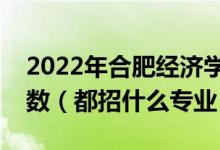 2022年合肥经济学院各省招生计划及招生人数（都招什么专业）